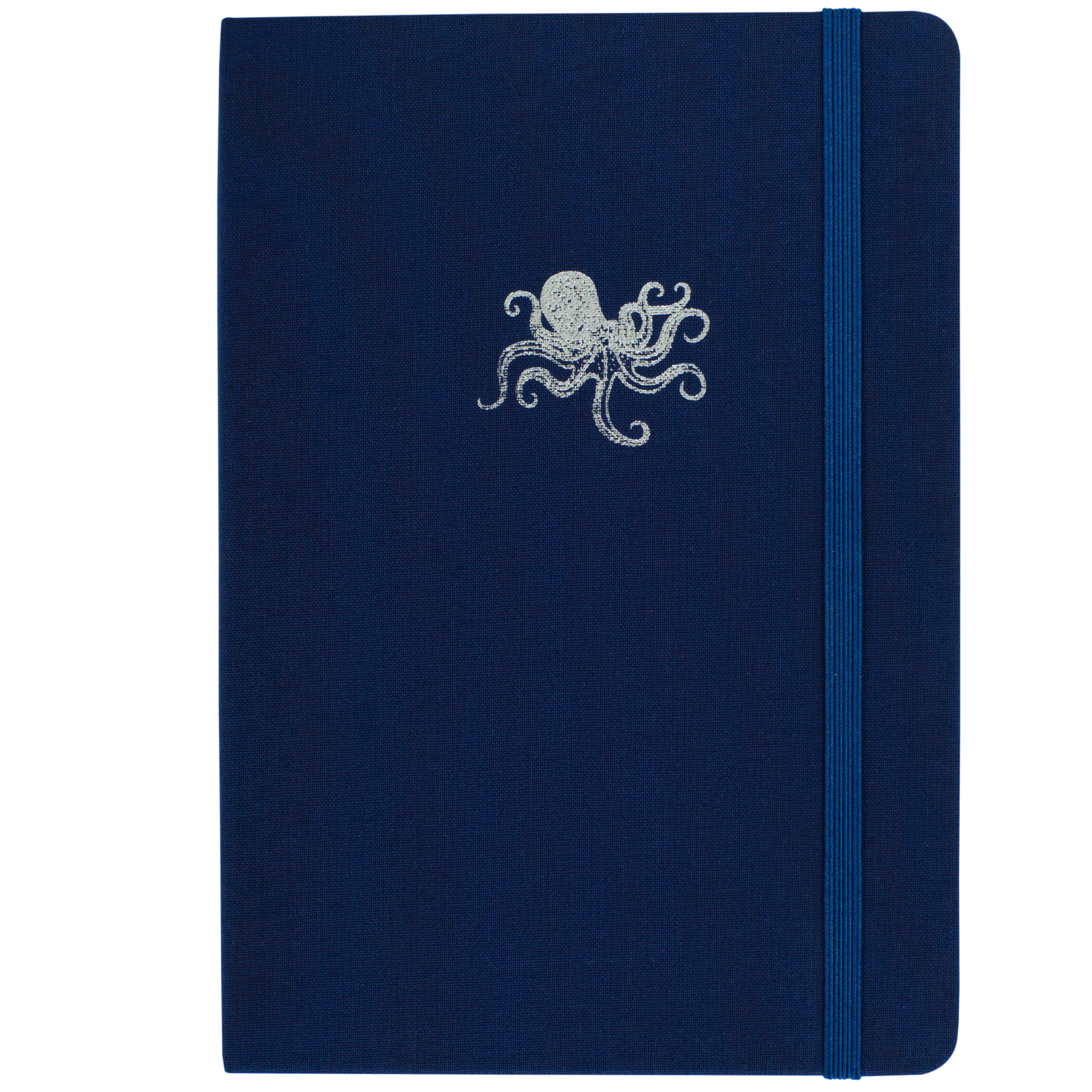 Octopus Notebook