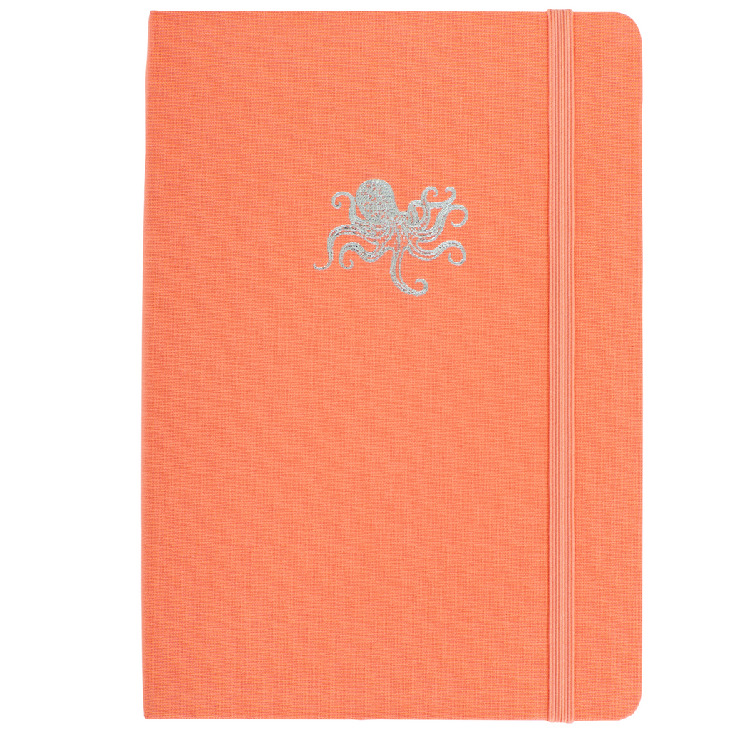 Octopus Notebook