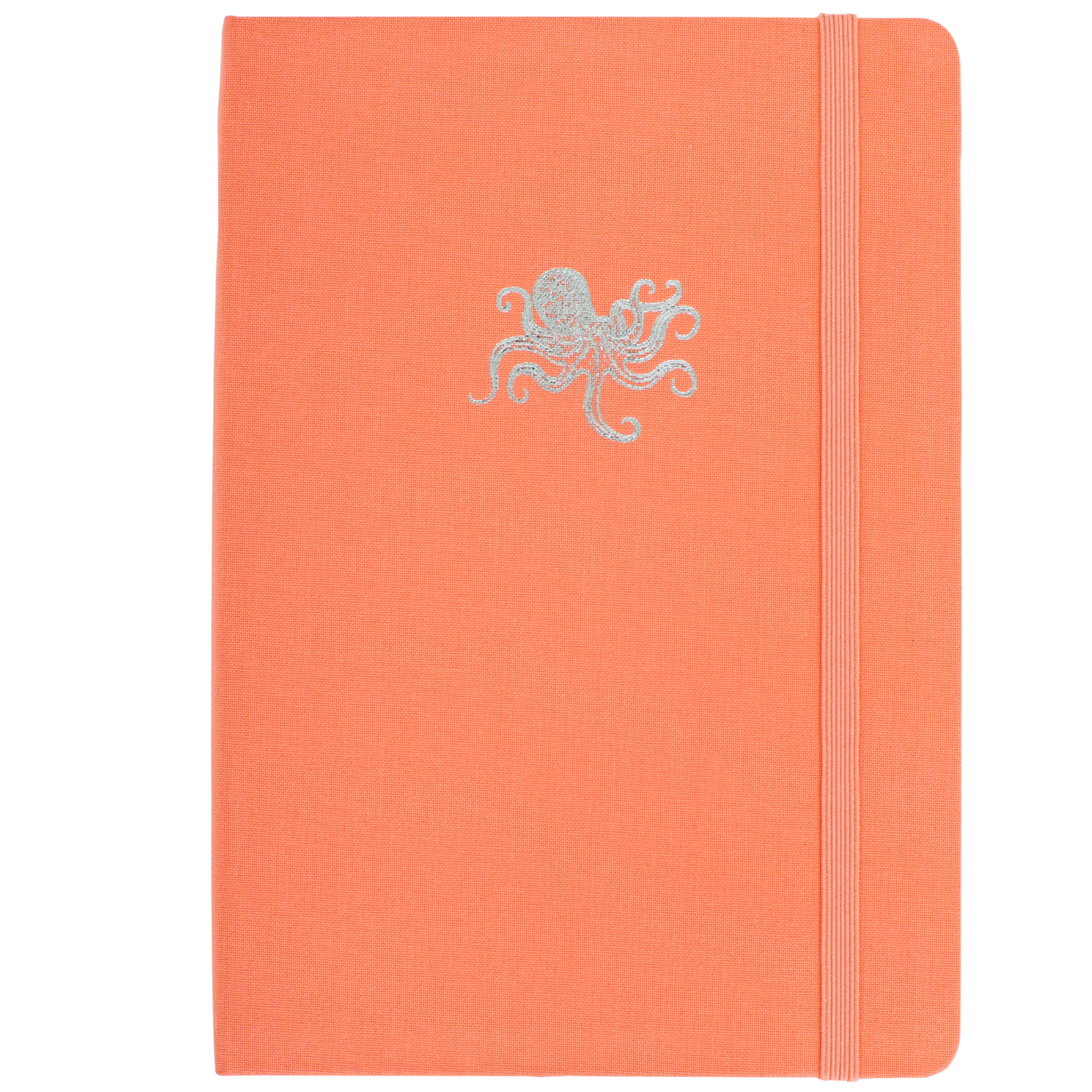 Octopus Notebook