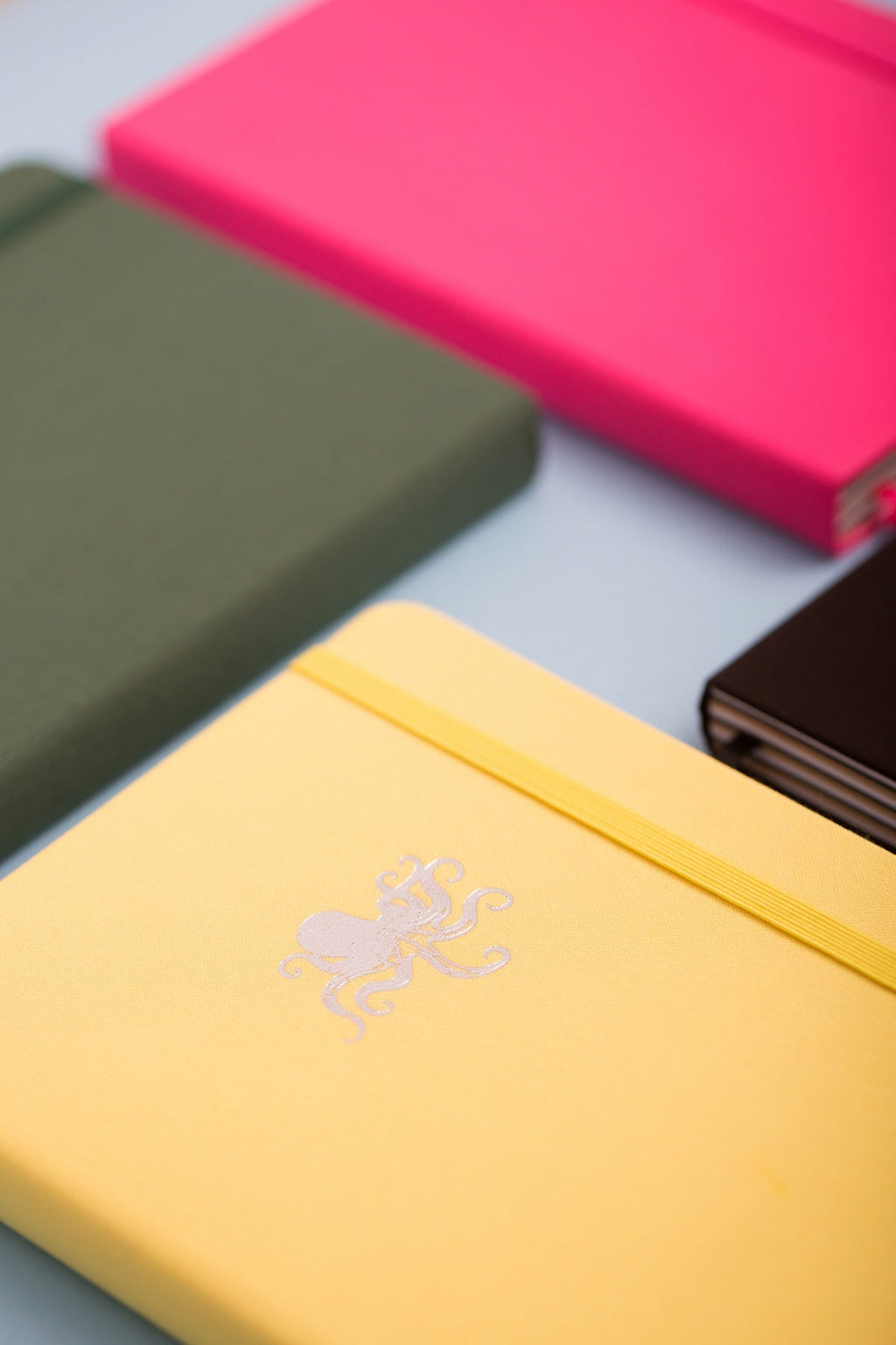 Octopus Notebook